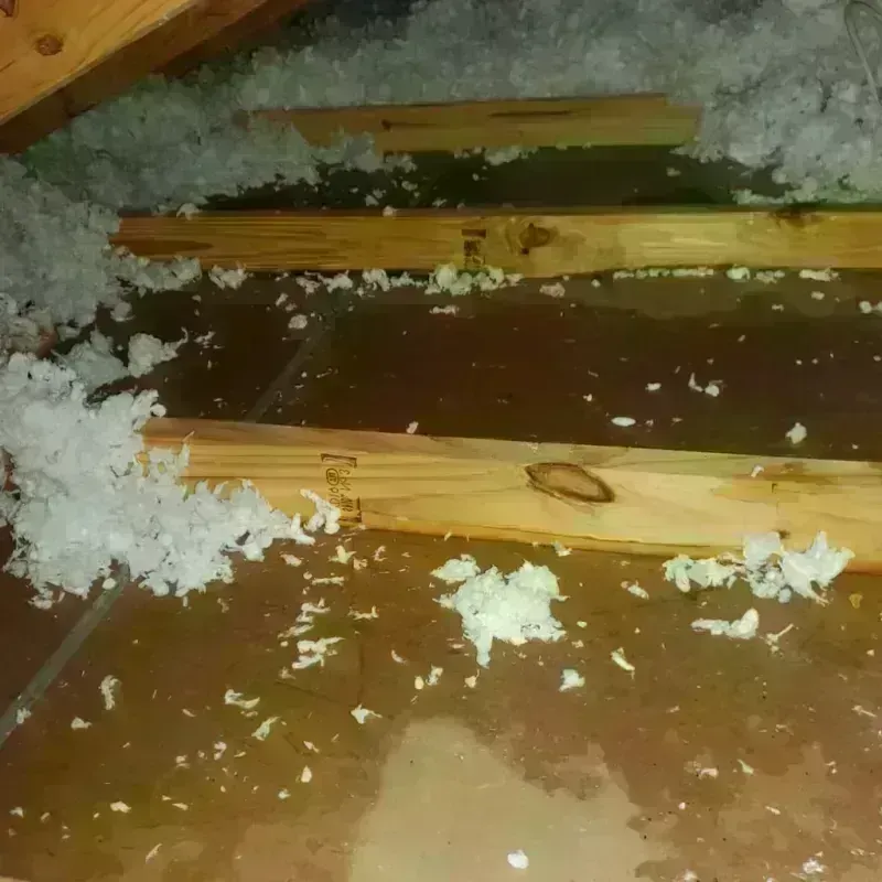 Attic Water Damage in Dupo, IL